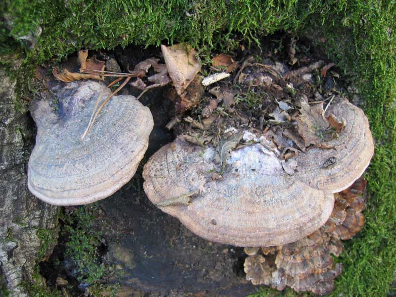 Escursione del  sabato pomeriggio